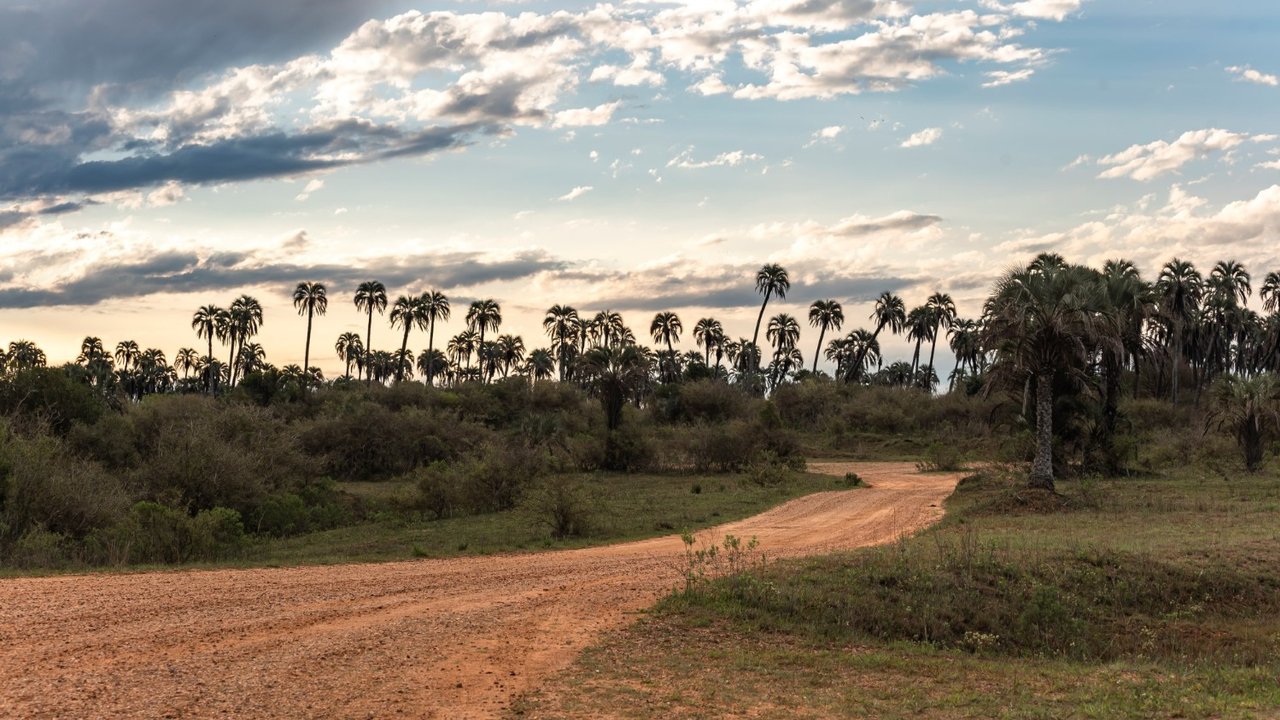 Paisaje Parque Nacional